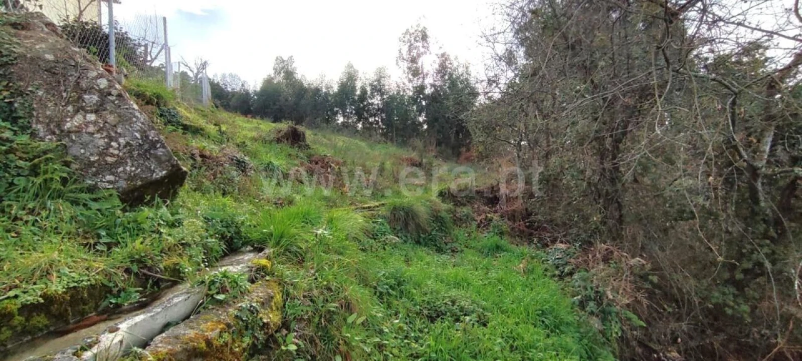 Terreno para Venda em Várzea, Aliviada e Folhada Foto 2