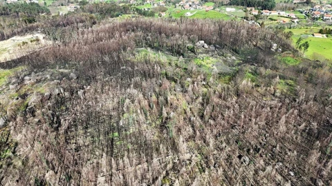 Terreno para Venda em Várzea, Aliviada e Folhada
