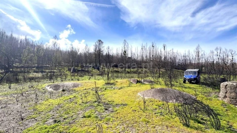 Terreno para Venda em Várzea, Aliviada e Folhada