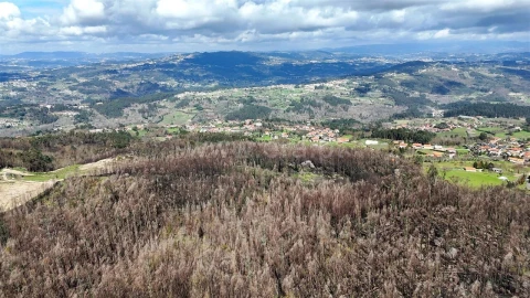 Terreno para Venda em Várzea, Aliviada e Folhada