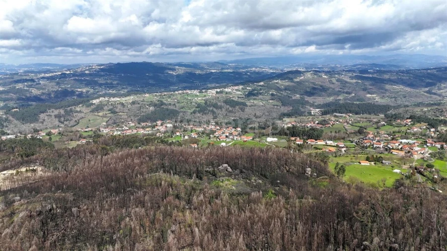 Terreno para Venda em Várzea, Aliviada e Folhada Foto 5