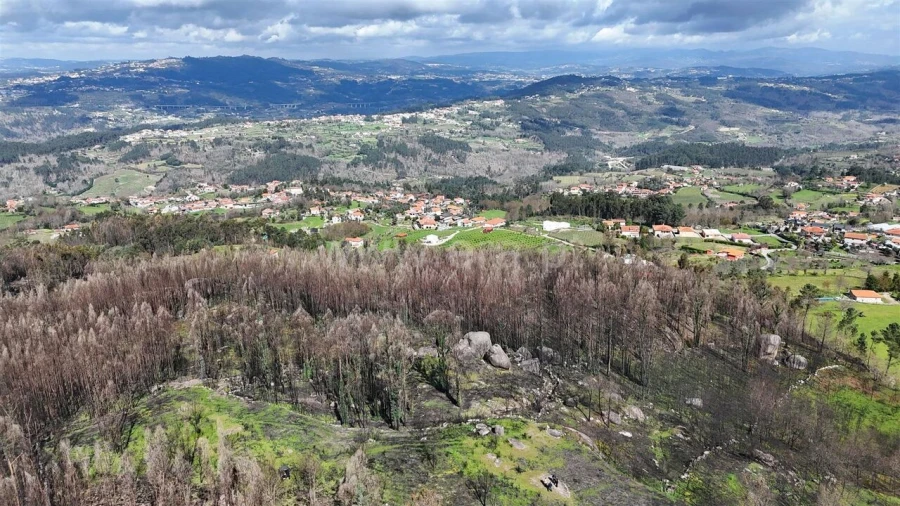 Terreno para Venda em Várzea, Aliviada e Folhada Foto 12