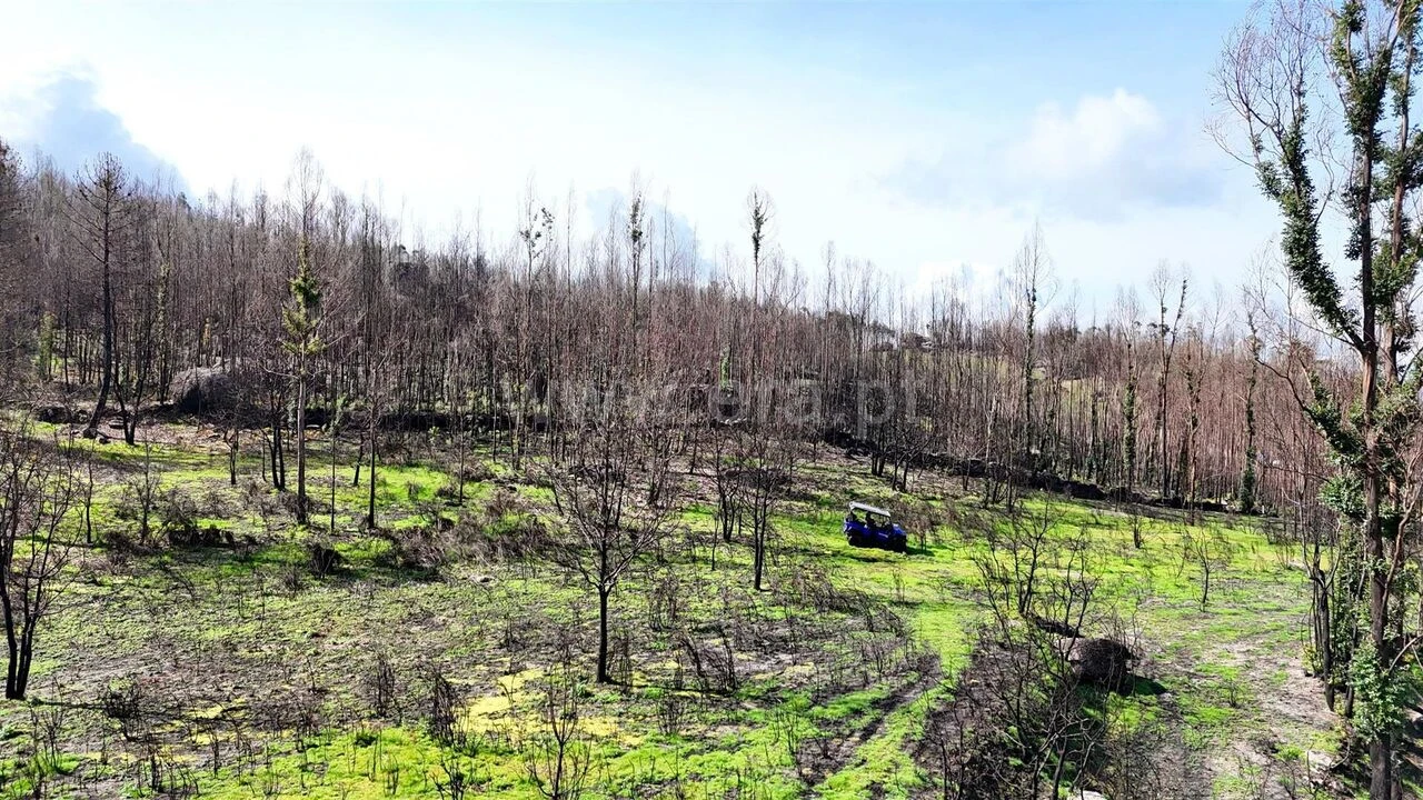 Terreno para Venda em Várzea, Aliviada e Folhada Foto 6