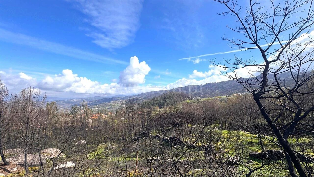 Terreno para Venda em Várzea, Aliviada e Folhada Foto 4