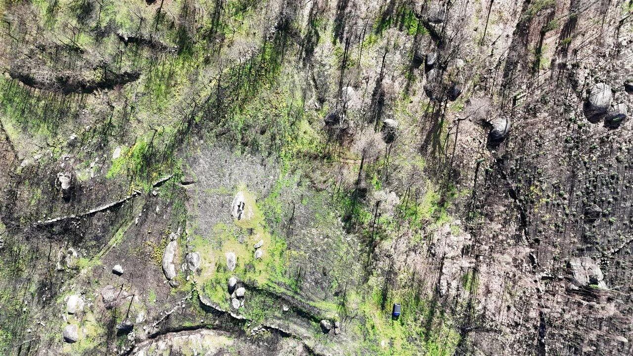 Terreno para Venda em Várzea, Aliviada e Folhada Foto 14