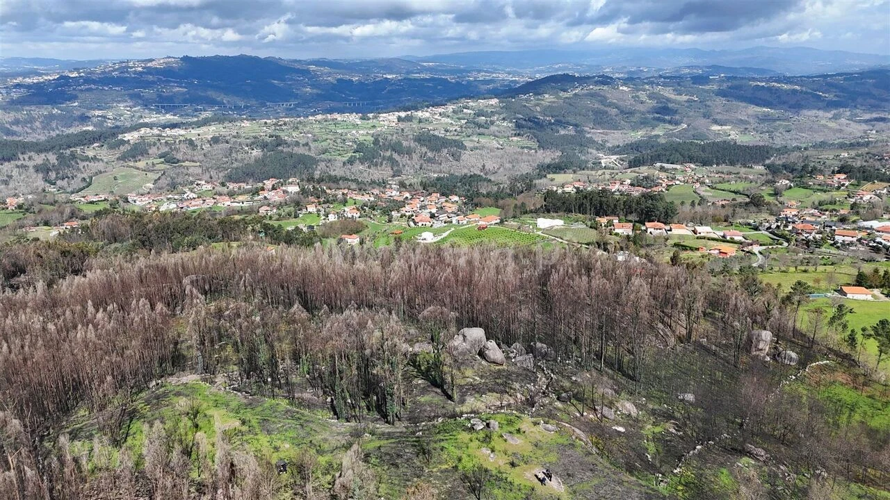 Terreno para Venda em Várzea, Aliviada e Folhada Foto 12