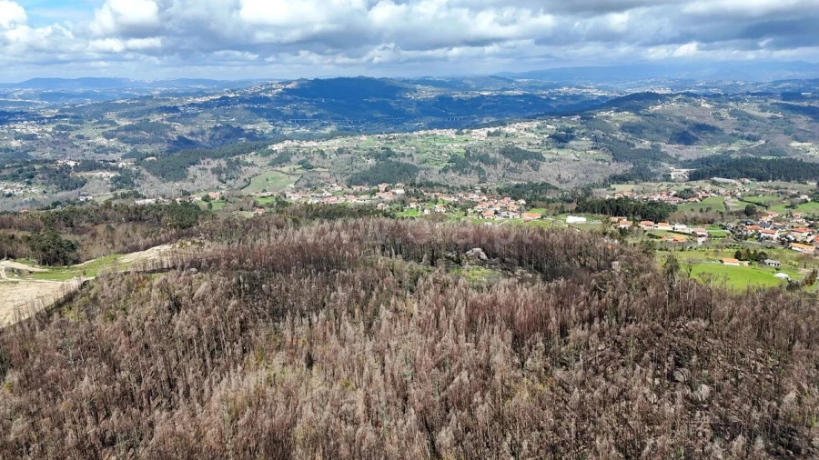 Terreno para Venda em Várzea, Aliviada e Folhada
