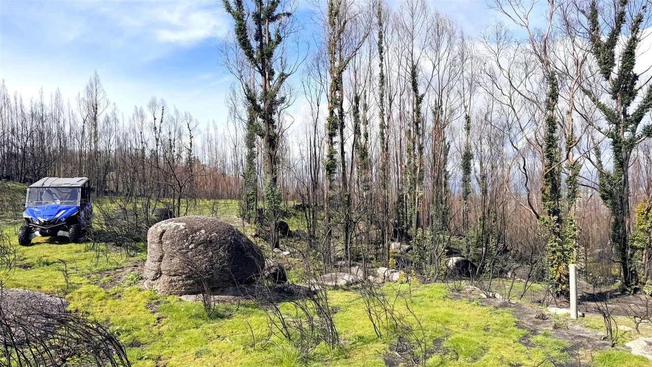 Terreno para Venda em Várzea, Aliviada e Folhada Foto 11