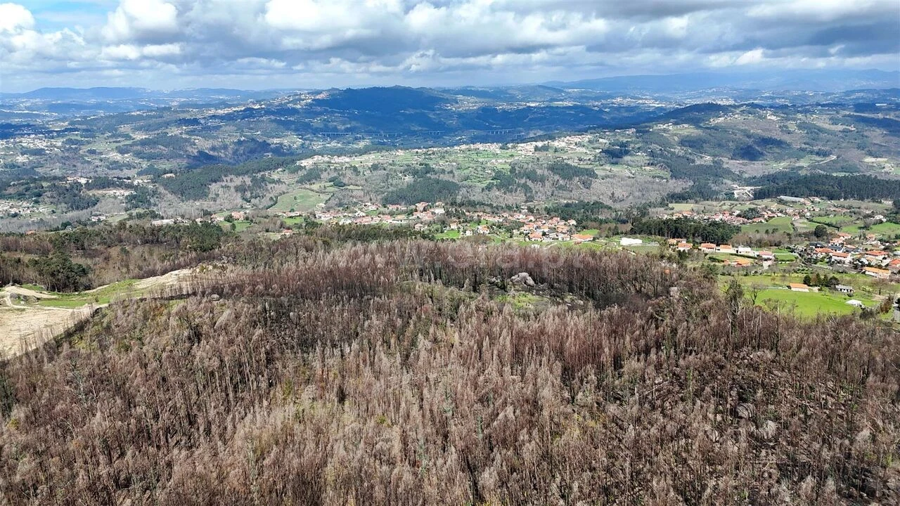 Terreno para Venda em Várzea, Aliviada e Folhada Foto 1