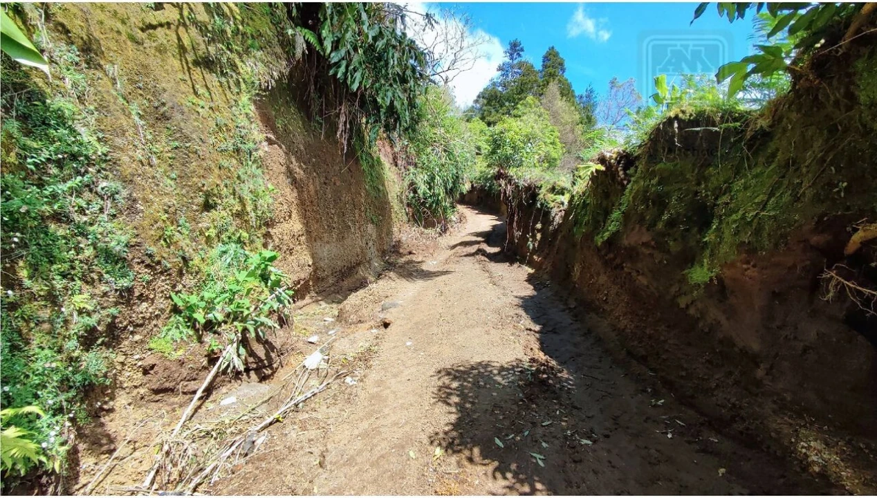 Terreno para Venda em Vila Franca do Campo (São Miguel) Foto 14