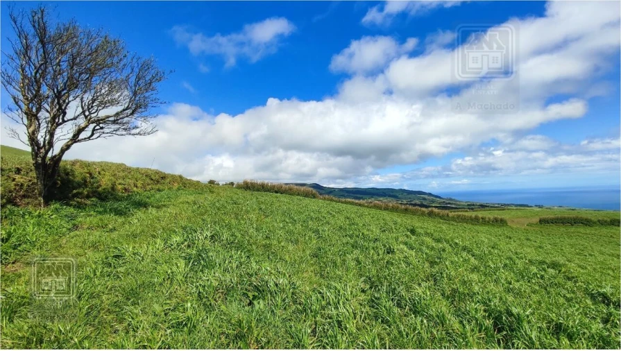 Terreno para Venda em Vila Franca do Campo (São Miguel) Foto 12