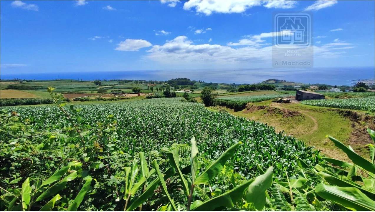 Terreno para Venda em Lagoa (Santa Cruz) Foto 1