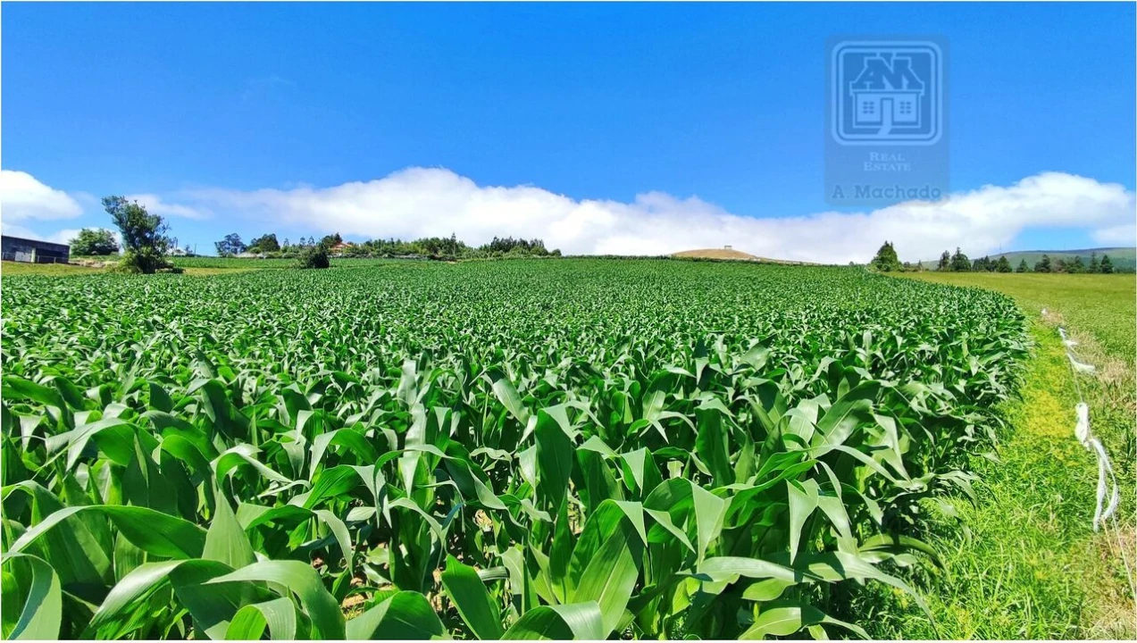 Terreno para Venda em Lagoa (Santa Cruz) Foto 15