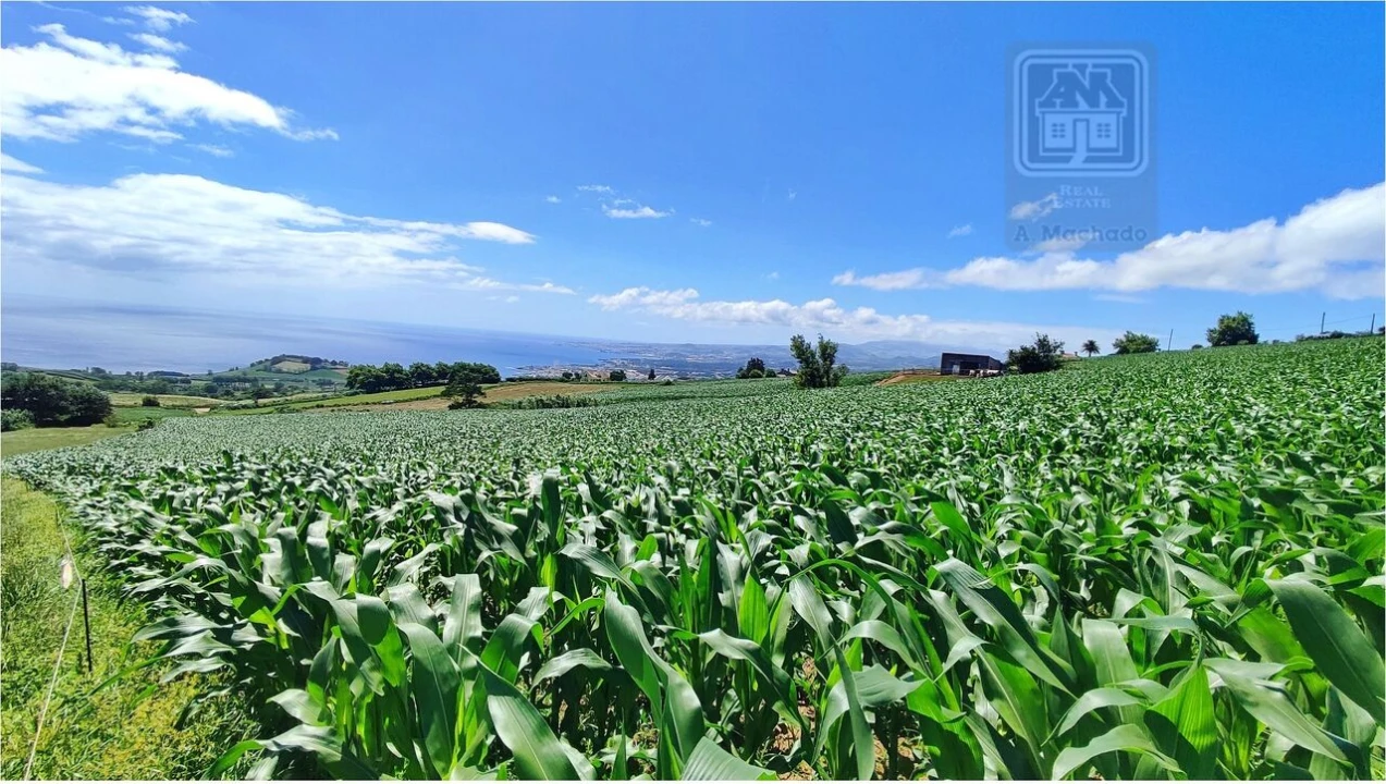 Terreno para Venda em Lagoa (Santa Cruz) Foto 16