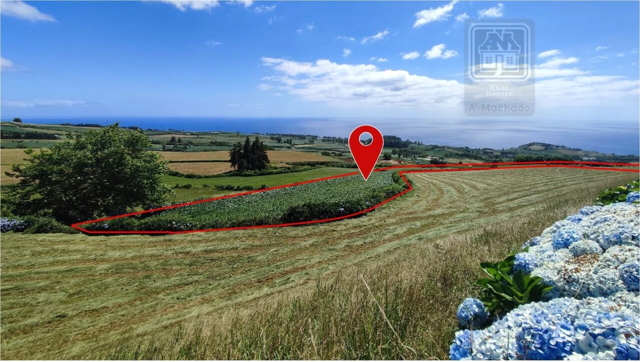 Terreno para Venda em Lagoa (Santa Cruz) Foto 21