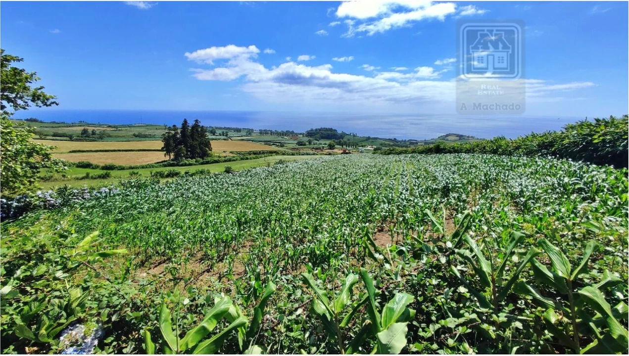 Terreno para Venda em Lagoa (Santa Cruz) Foto 30