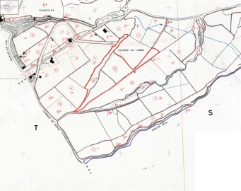 Terreno para Venda em Lagoa (Santa Cruz)