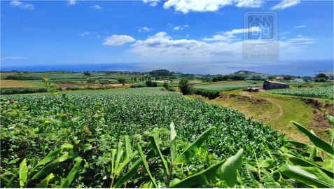 Terreno para Venda em Lagoa (Santa Cruz)
