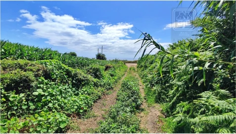 Terreno para Venda em Lagoa (Santa Cruz)