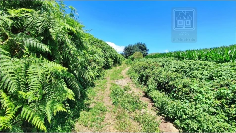 Terreno para Venda em Lagoa (Santa Cruz)