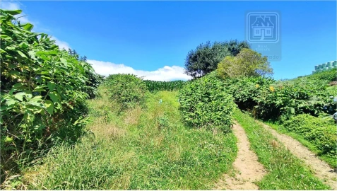 Terreno para Venda em Lagoa (Santa Cruz)