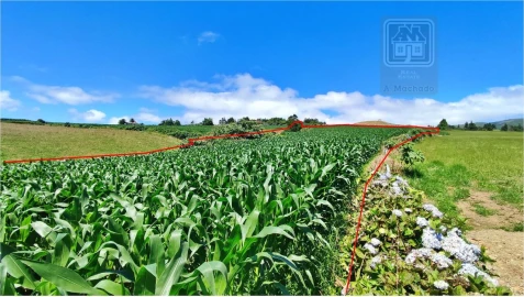 Terreno para Venda em Lagoa (Santa Cruz)