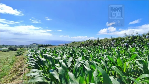 Terreno para Venda em Lagoa (Santa Cruz)