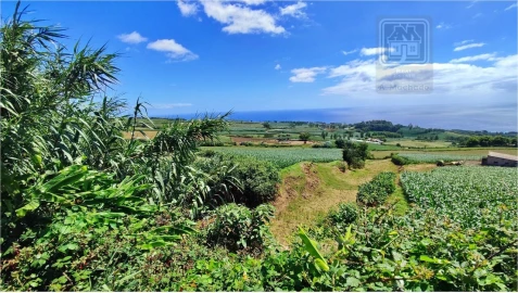 Terreno para Venda em Lagoa (Santa Cruz)