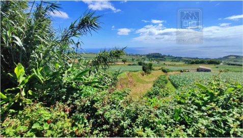 Terreno para Venda em Lagoa (Santa Cruz)
