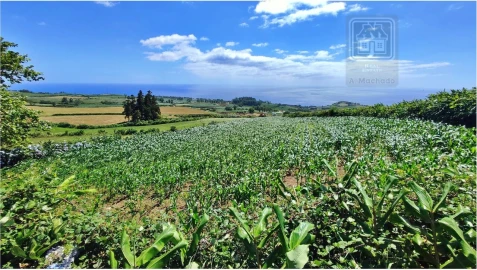 Terreno para Venda em Lagoa (Santa Cruz)