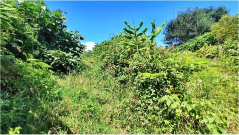 Terreno para Venda em Lagoa (Santa Cruz)