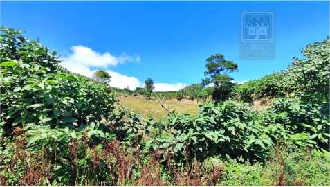 Terreno para Venda em Lagoa (Santa Cruz)