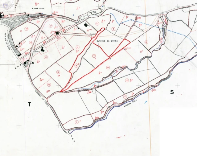 Terreno para Venda em Lagoa (Santa Cruz) Foto 38