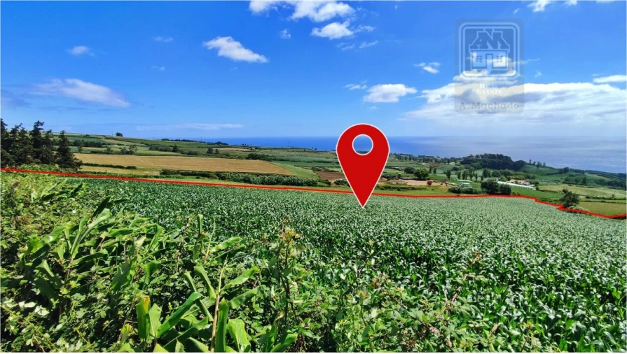 Terreno para Venda em Lagoa (Santa Cruz) Foto 2