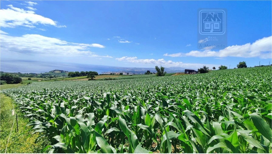 Terreno para Venda em Lagoa (Santa Cruz) Foto 16