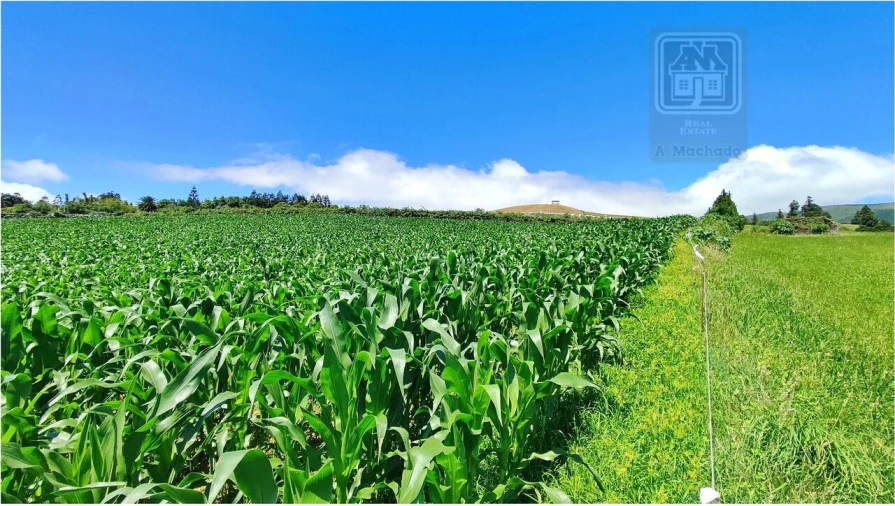 Terreno para Venda em Lagoa (Santa Cruz) Foto 18
