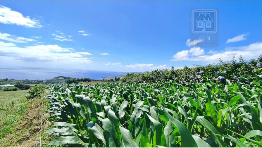 Terreno para Venda em Lagoa (Santa Cruz) Foto 19