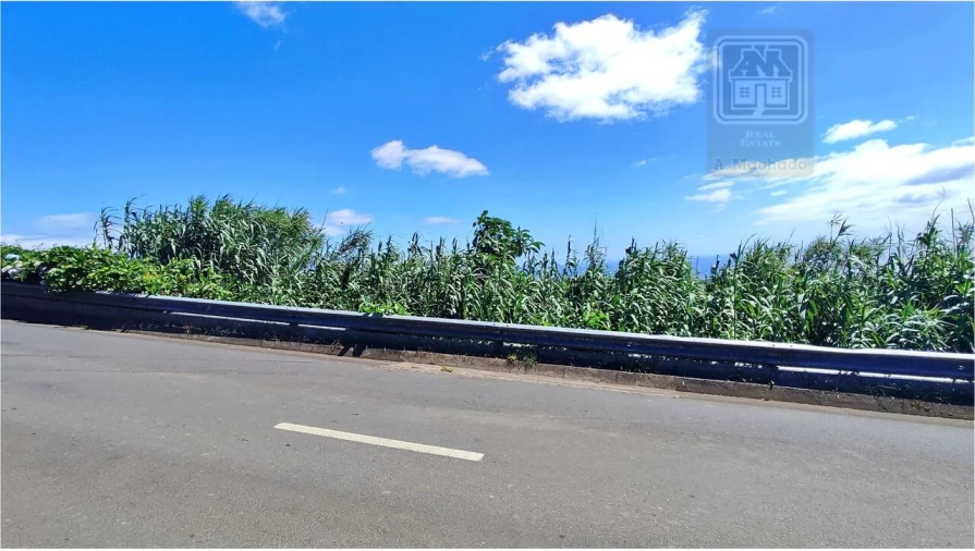 Terreno para Venda em Lagoa (Santa Cruz) Foto 24