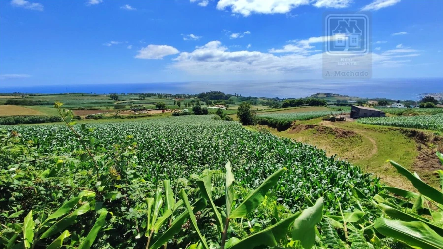Terreno para Venda em Lagoa (Santa Cruz)