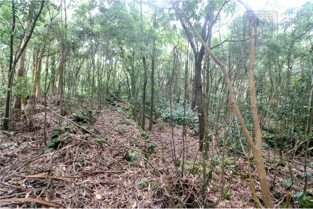 Terreno para Venda em Lagoa (Nossa Senhora do Rosario) Foto 26