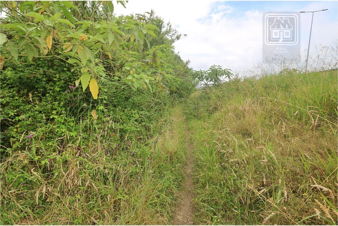 Terreno para Venda em Lagoa (Nossa Senhora do Rosario) Foto 32