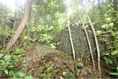 Terreno para Venda em Lagoa (Nossa Senhora do Rosario)