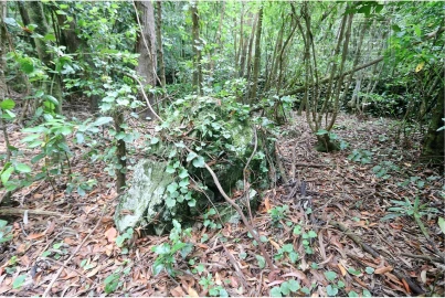 Terreno para Venda em Lagoa (Nossa Senhora do Rosario)