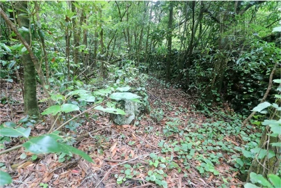Terreno para Venda em Lagoa (Nossa Senhora do Rosario)