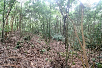 Terreno para Venda em Lagoa (Nossa Senhora do Rosario)