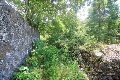 Terreno para Venda em Lagoa (Nossa Senhora do Rosario)