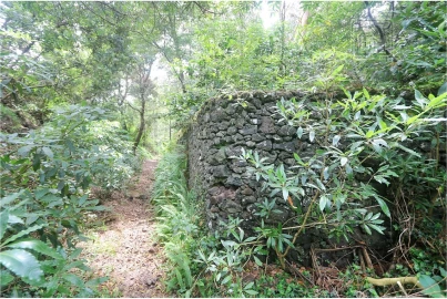 Terreno para Venda em Lagoa (Nossa Senhora do Rosario)