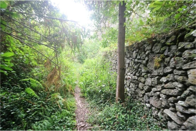 Terreno para Venda em Lagoa (Nossa Senhora do Rosario)