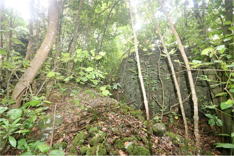 Terreno para Venda em Lagoa (Nossa Senhora do Rosario) Foto 19