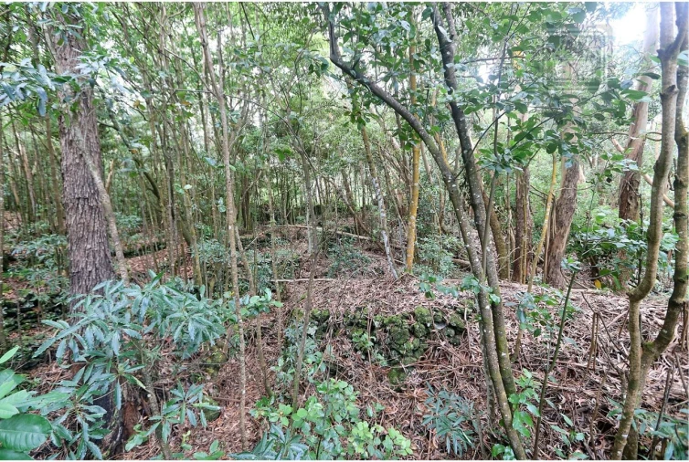 Terreno para Venda em Lagoa (Nossa Senhora do Rosario) Foto 25